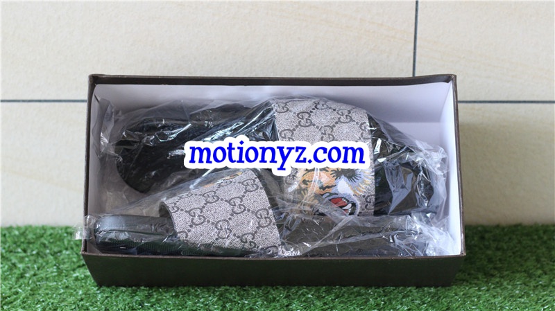 GC Slipper Tiger